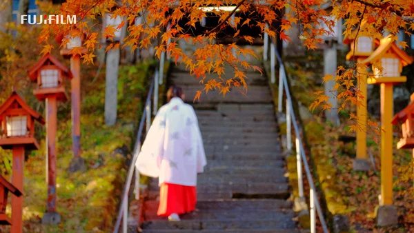 美しい村